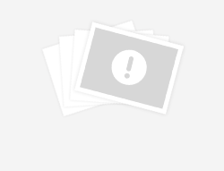 A Survey of Adversarial Examples in Computer Vision: Attack, Defense, and Beyond